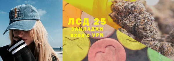 молекула духа Бородино