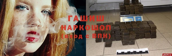 молекула духа Бородино