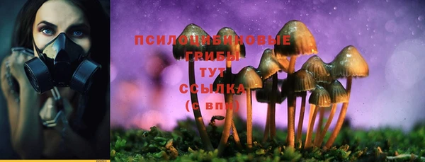 молекула духа Бородино