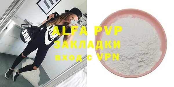 молекула духа Бородино