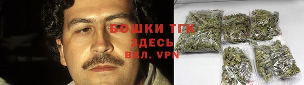 молекула духа Бородино