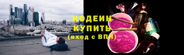 шишки Бронницы