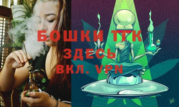 молекула духа Бородино