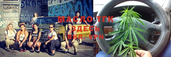 молекула духа Бородино