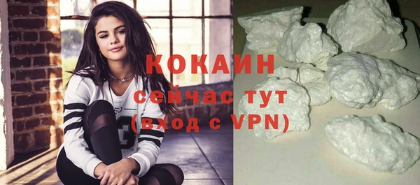 молекула духа Бородино