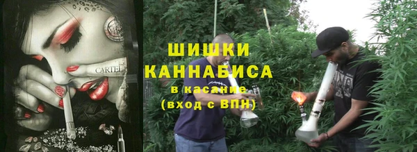 шишки Бронницы