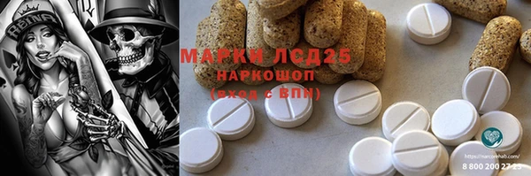 молекула духа Бородино