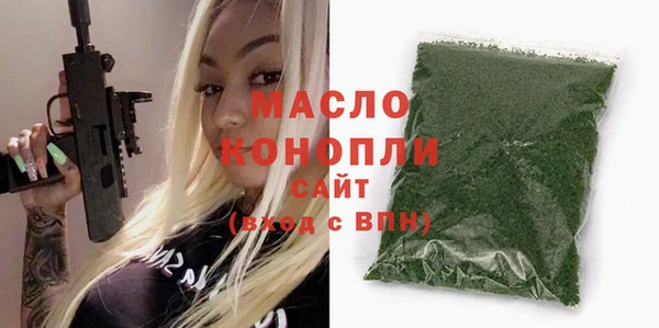 молекула духа Бородино