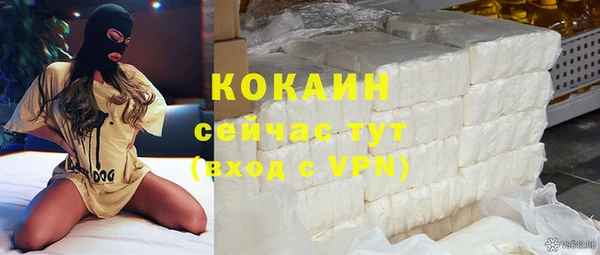 молекула духа Бородино